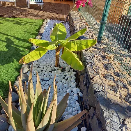 דירה Adeje El Galeon Sea View
