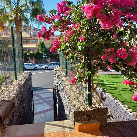 Adeje El Galeon Sea View Apartman *