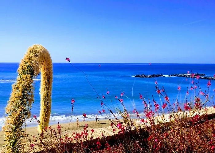 Adeje El Galeon Sea View 아파트 아데제